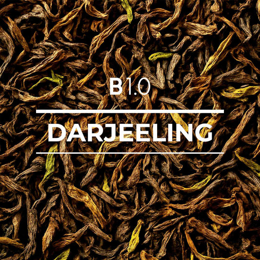 B 1.0 Darjeeling