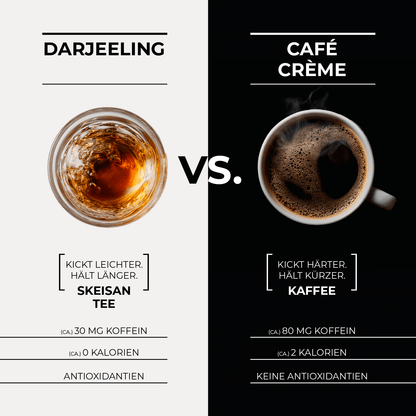 B 1.0 Darjeeling