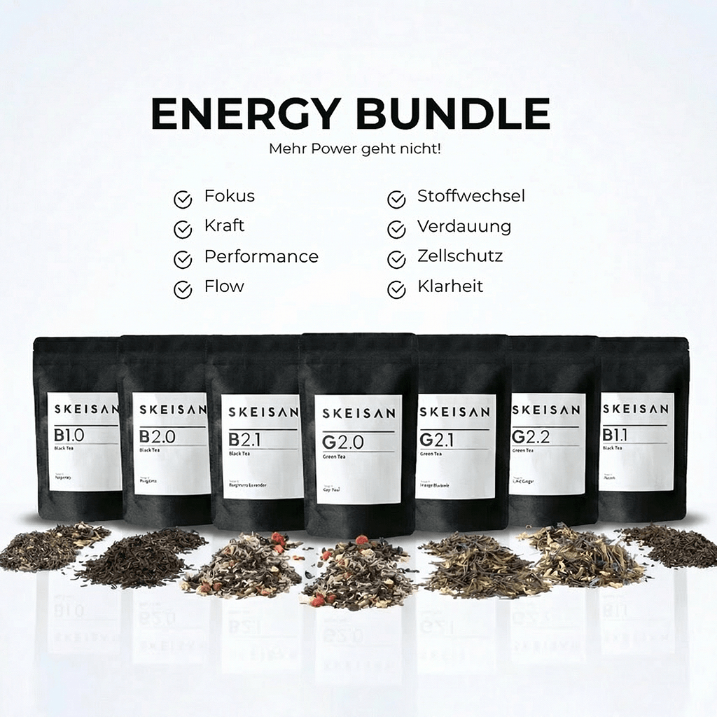 SKEISAN - ENERGY BUNDLE