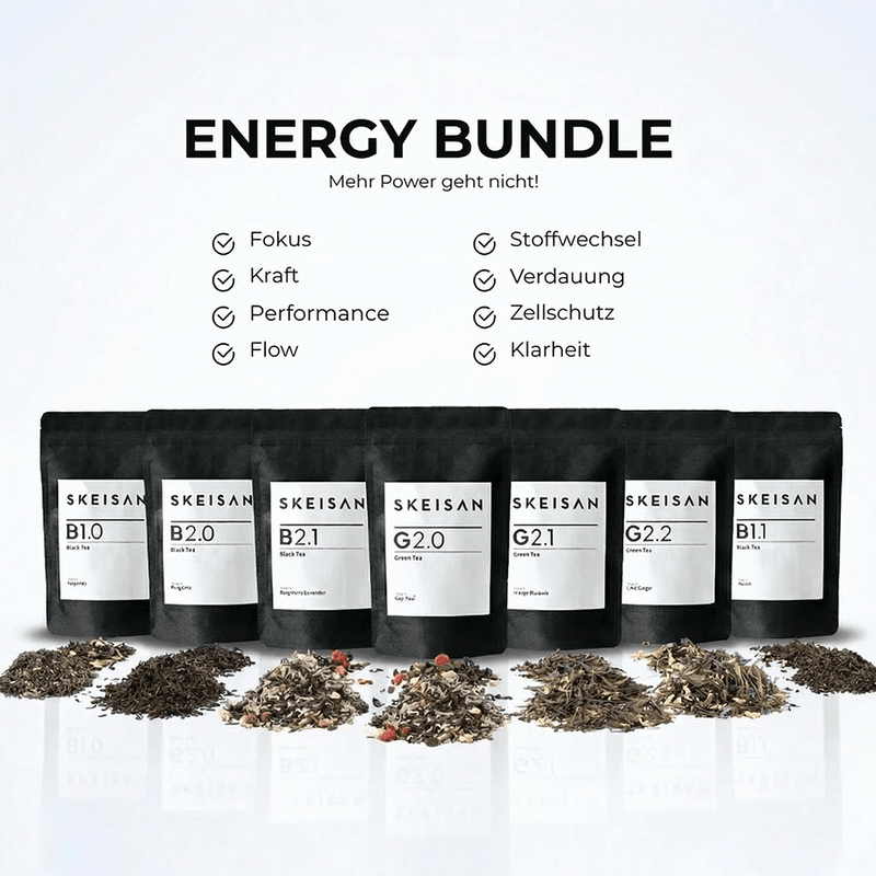 SKEISAN - ENERGY BUNDLE