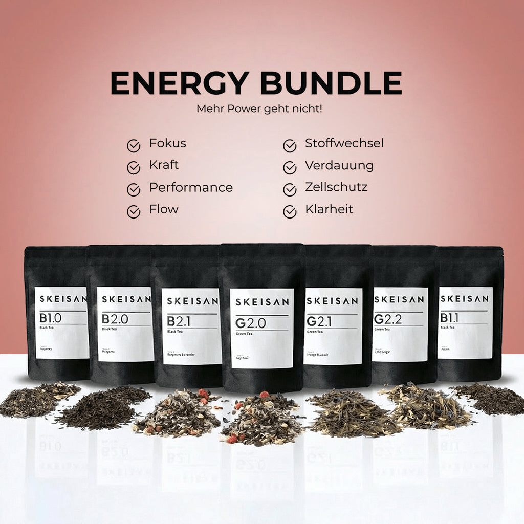 SKEISAN - ENERGY BUNDLE