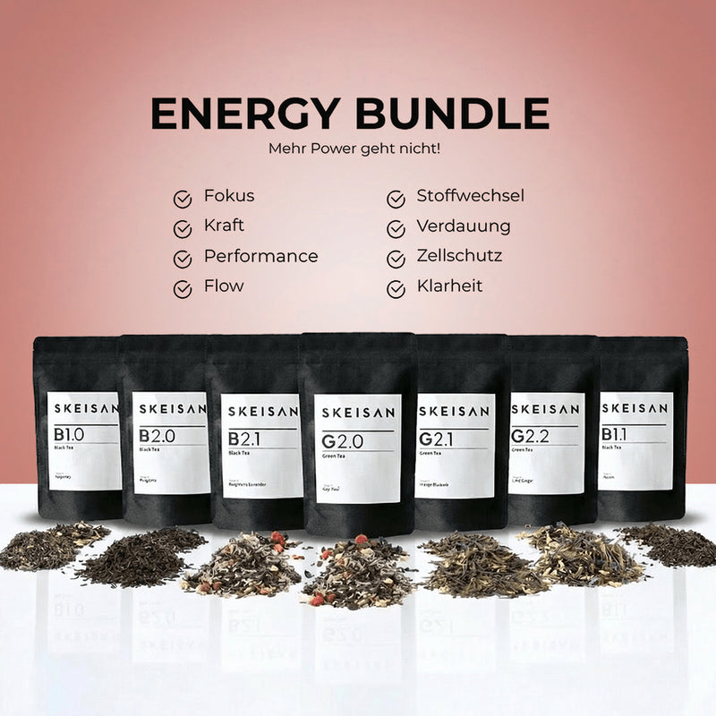 SKEISAN - ENERGY BUNDLE