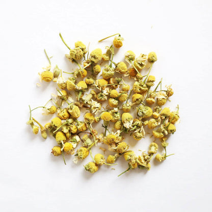 H 1.2 Camomile