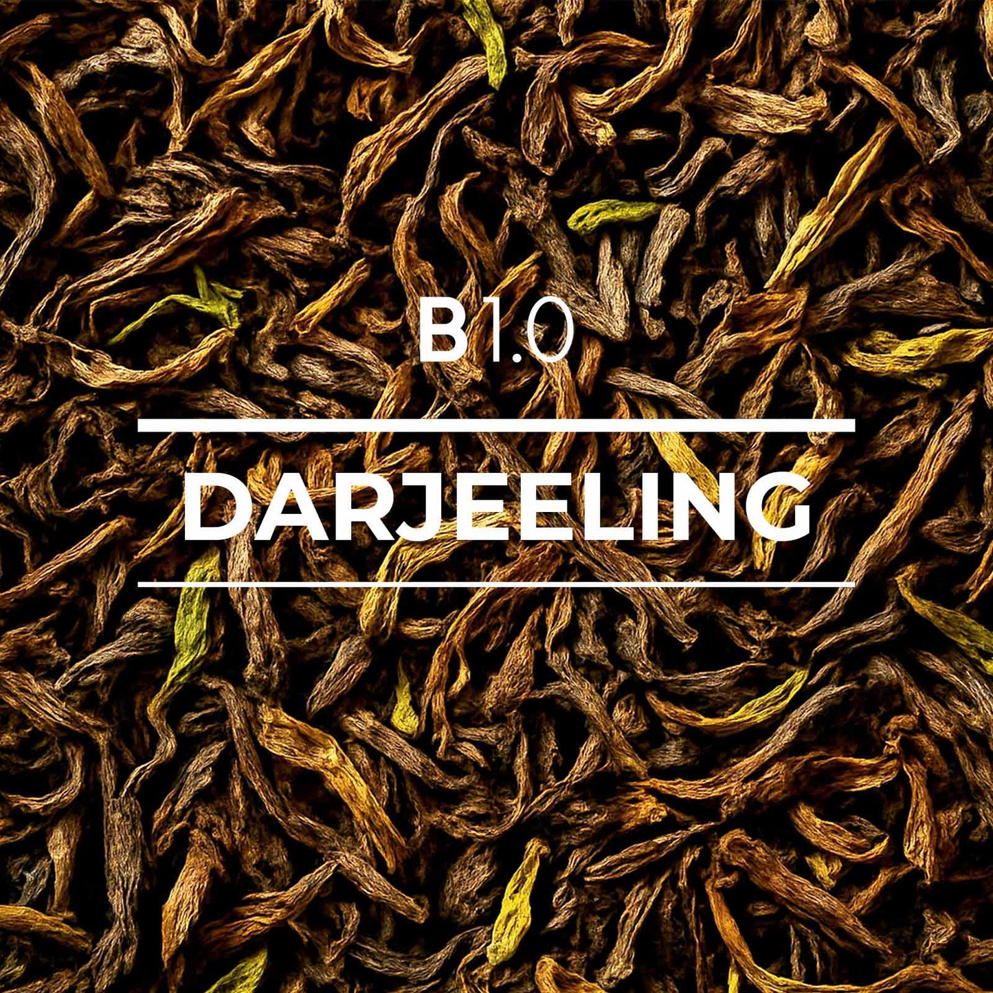 B 1.0 Darjeeling