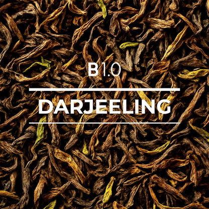 B 1.0 Darjeeling
