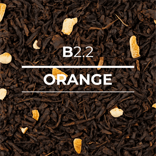 B 2.2 Orange